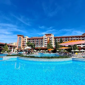 Hrizantema Sunny Beach
